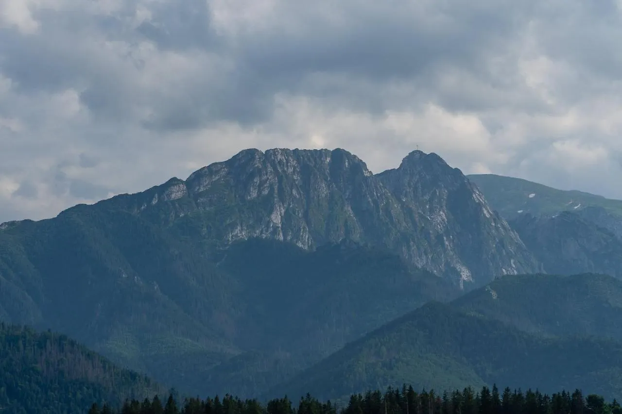 Willa Rzepicha Zakopane Polska