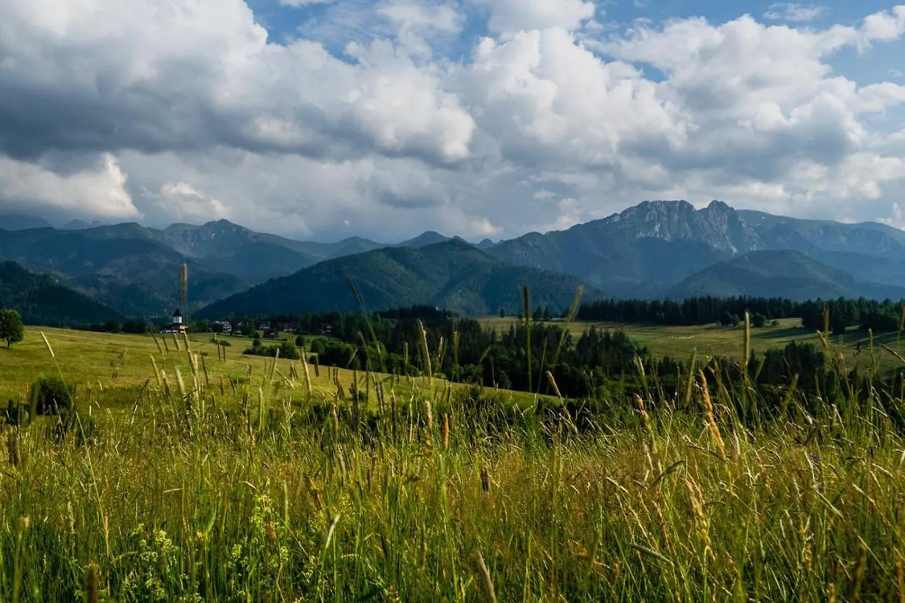 Willa Rzepicha Zakopane Pensjonat