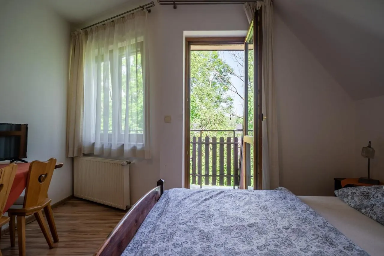 Pensjonat Willa Rzepicha Zakopane